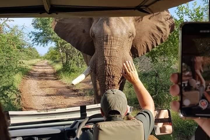 3-Hour Scheduled Safari Game Drive in Pilanesberg National Park