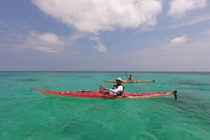 North Okinawa: Private Kayak & Snorkel Adventure