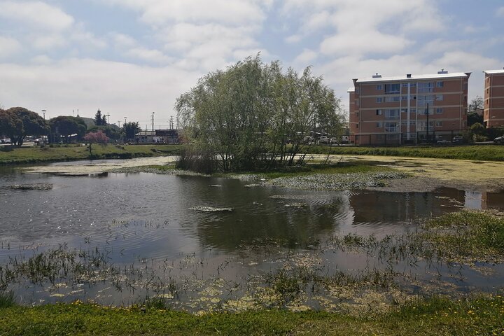 Tour around the Lagoons of Concepción