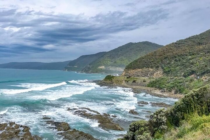 Premium Small Group Great Ocean Road & Wildlife with Lunch