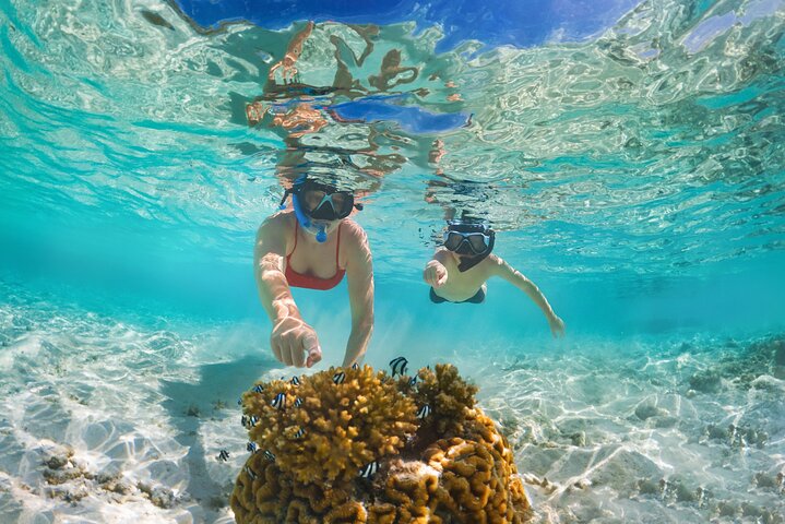 Half Day Private Snorkeling Tour in Maafushi Island