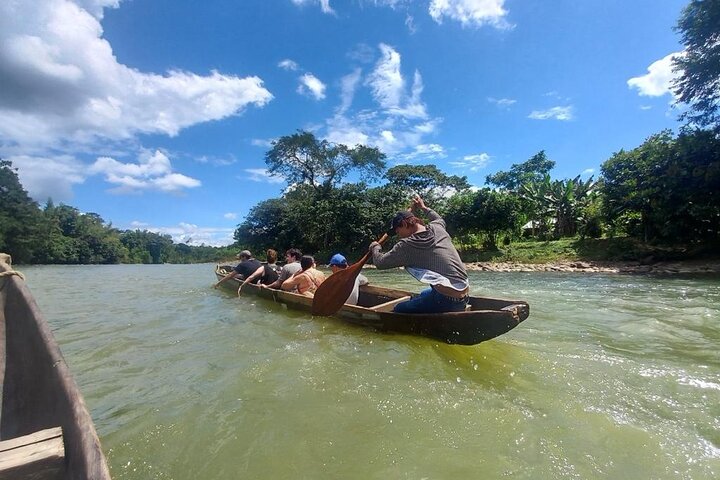 Tour to the Amazon for one day