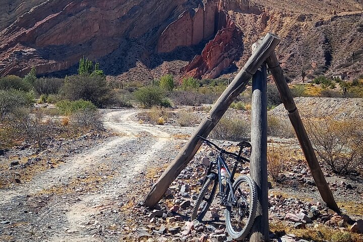 Bike Adventure through Juella with lunch