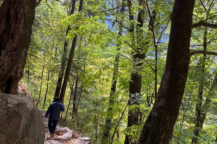 Tour to Barrancas del Cobre