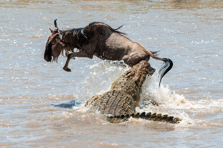 Affordable 3-Day Safari to Serengeti & Ngorongoro Crater