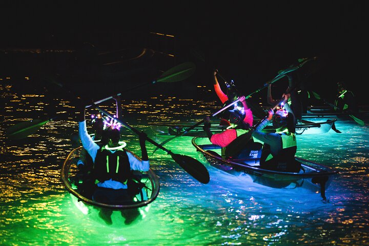 Night Kayak Tour St. Thomas - Westin Frenchman's Reef