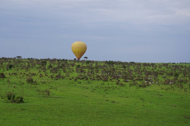 Affordable 3-Day Safari to Serengeti & Ngorongoro Crater