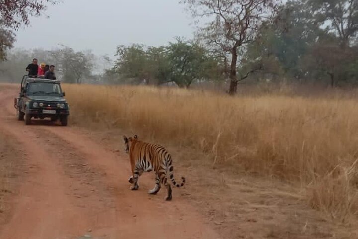 Panna National Park and Tiger Reserve Jeep Safari from Khajuraho