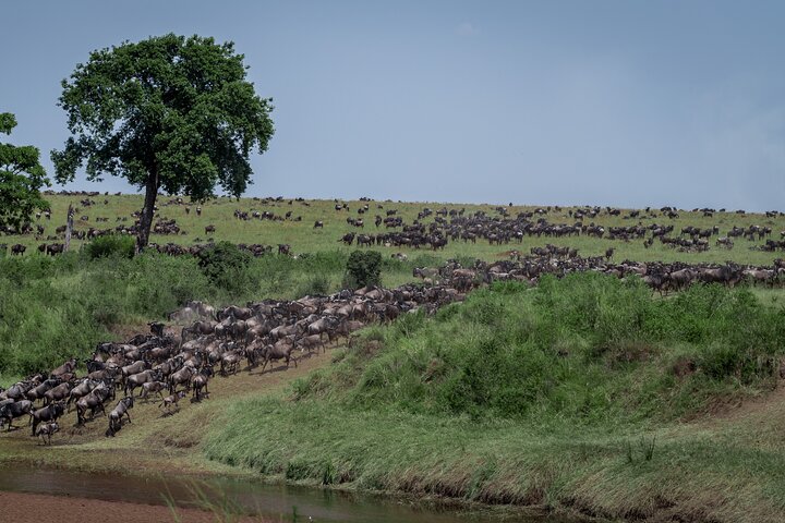 Affordable 3-Day Safari to Serengeti & Ngorongoro Crater