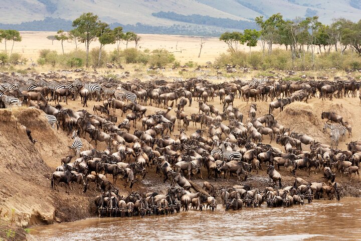 Affordable 3-Day Safari to Serengeti & Ngorongoro Crater