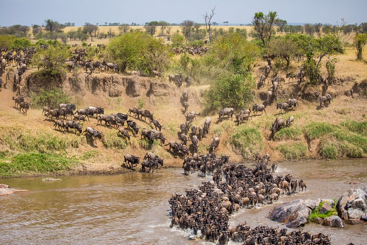Affordable 3-Day Safari to Serengeti & Ngorongoro Crater