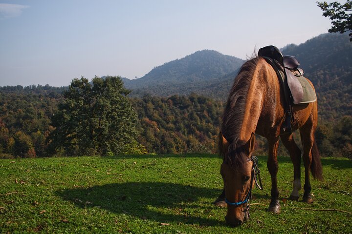 Private Horse Trek to Natural Hot Springs in Azerbaijan