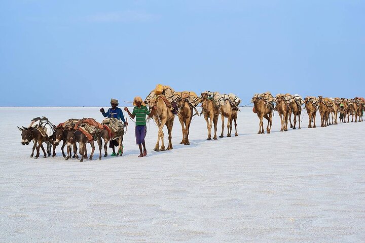 3 Days Dankile Depression group Tours
