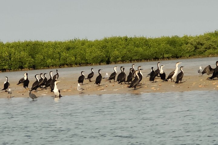 Private and Guided Excursion to the Kingdom of Sine and Saloum