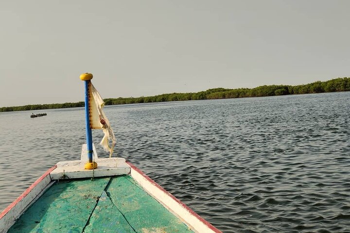 Private and Guided Excursion to the Kingdom of Sine and Saloum
