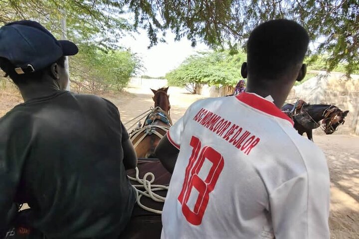 Private and Guided Excursion to the Kingdom of Sine and Saloum