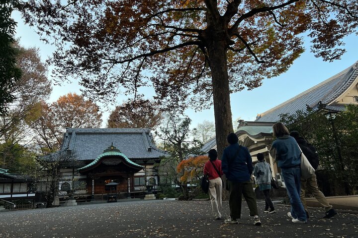 Explore Kichijoji: Walk Through One of Tokyo’s Beloved Districts
