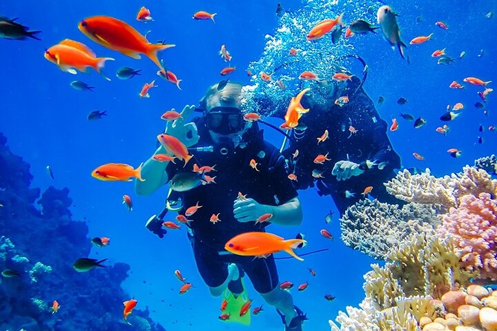 Nha Trang: Hon Mieu and Hon Tam Island Tour with Lunch