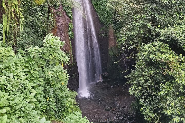 Jakarta Bogor Botanical Garden, Waterfall and Rice terrace, Lunch