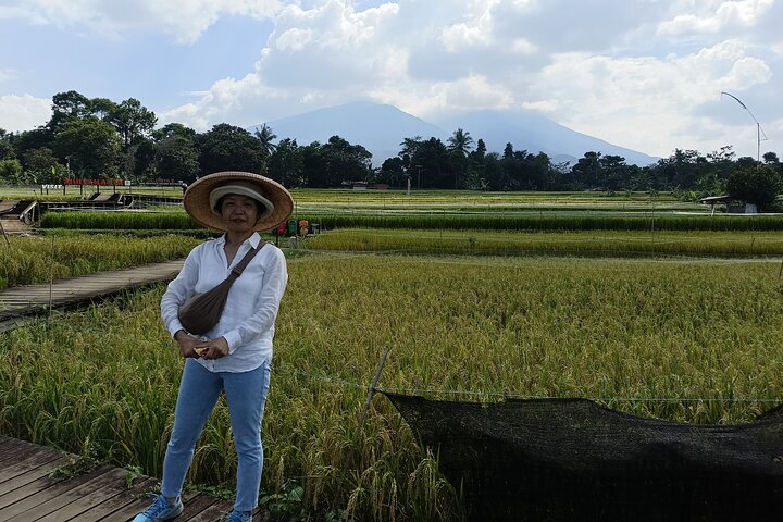 Jakarta Bogor Botanical Garden, Waterfall and Rice terrace, Lunch