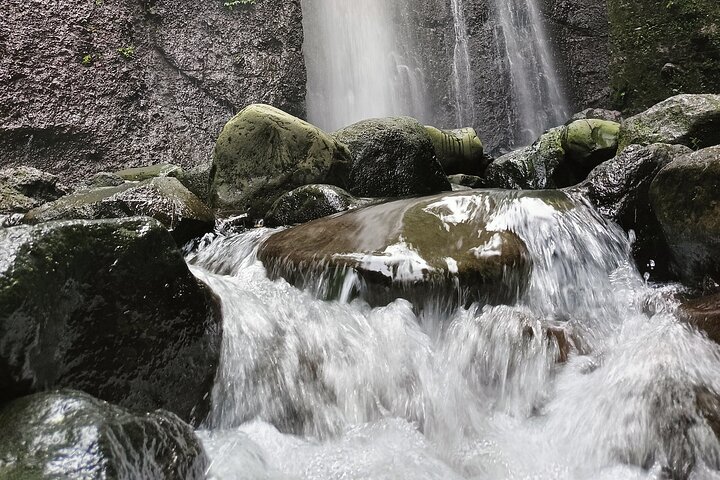 Jakarta Bogor Botanical Garden, Waterfall and Rice terrace, Lunch