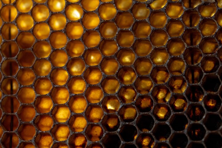 Private Honey Farm Tour and Beeswax Candle Making in Spitak
