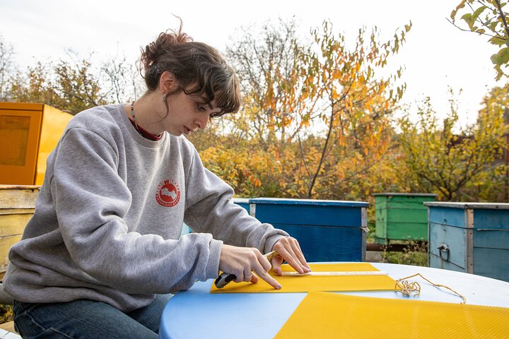 Private Honey Farm Tour and Beeswax Candle Making in Spitak