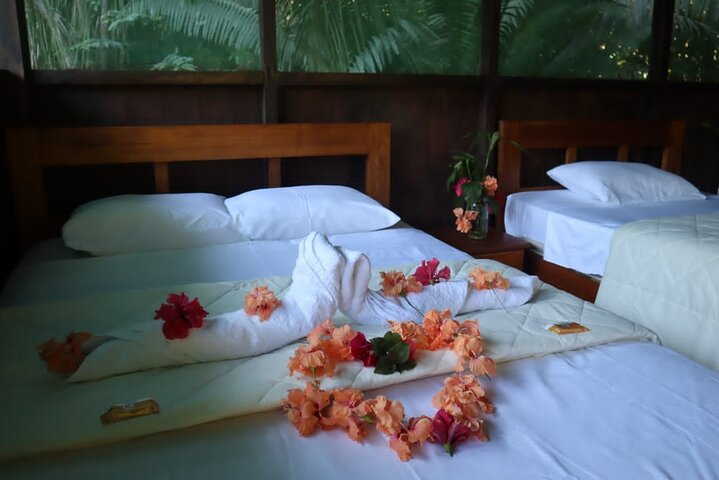 Tambopata. Sandoval lake and parrot clay lick, 3 days 2 nights