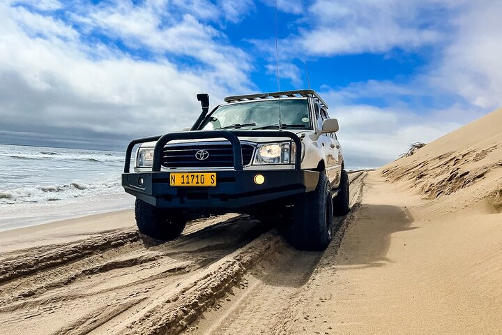 Sandwich Harbour Adventure Seals and Sandwich harbour dune drive