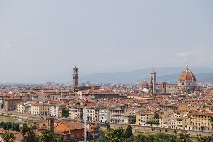 Livorno: Florence Optional Walking Tour and Accademia Entry