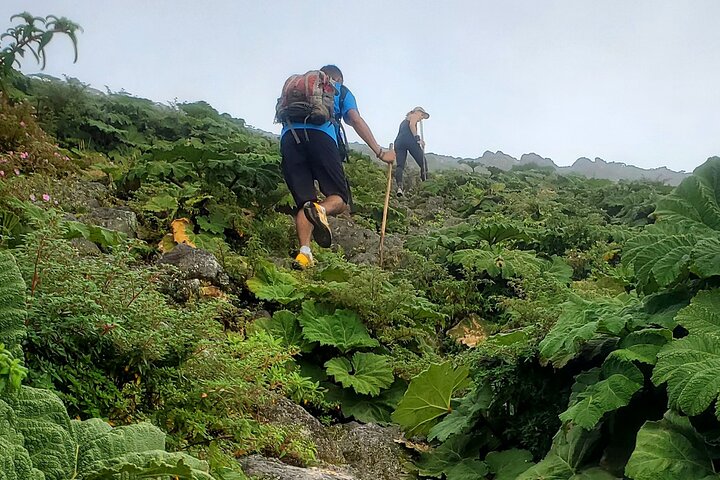 Ometepe trekking - Volcano Concepcion By Happy Tours