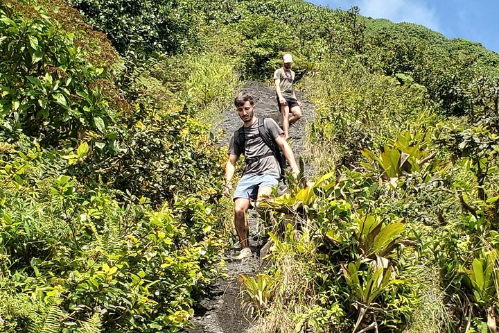 Ometepe trekking - Volcano Concepcion By Happy Tours
