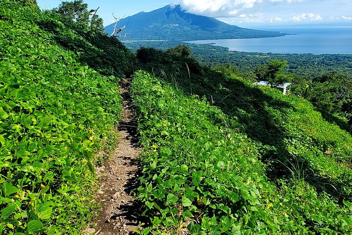 Ometepe trekking - Volcano Concepcion By Happy Tours