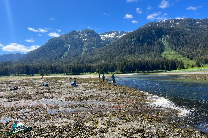 River Fishing and Bear Watching