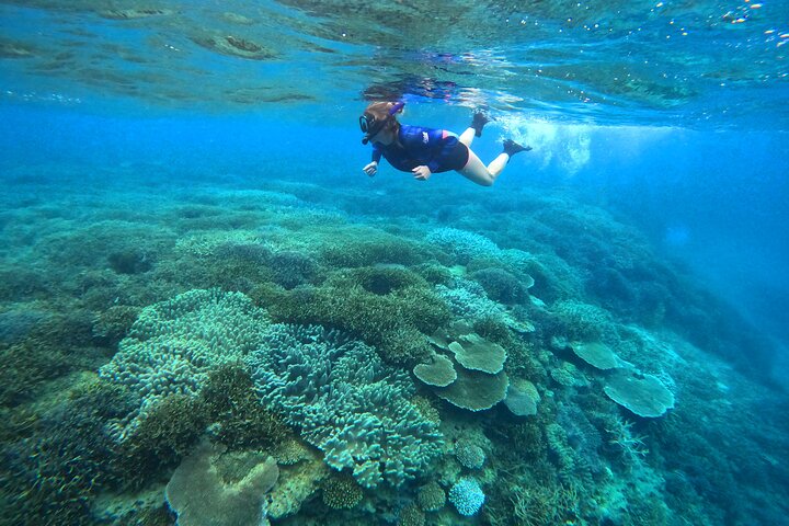 North Okinawa: Private Kayak & Snorkel Adventure
