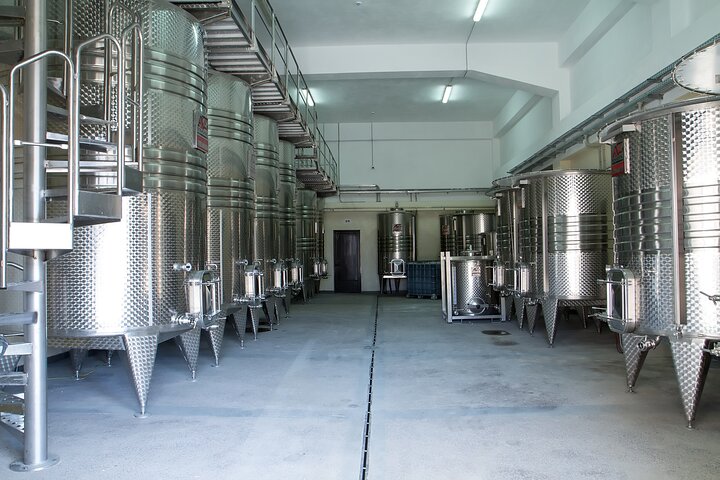 Private Wine Tasting Activity at Lipovac Winery