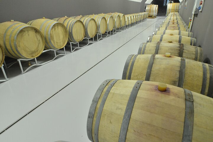 Private Wine Tasting Activity at Lipovac Winery