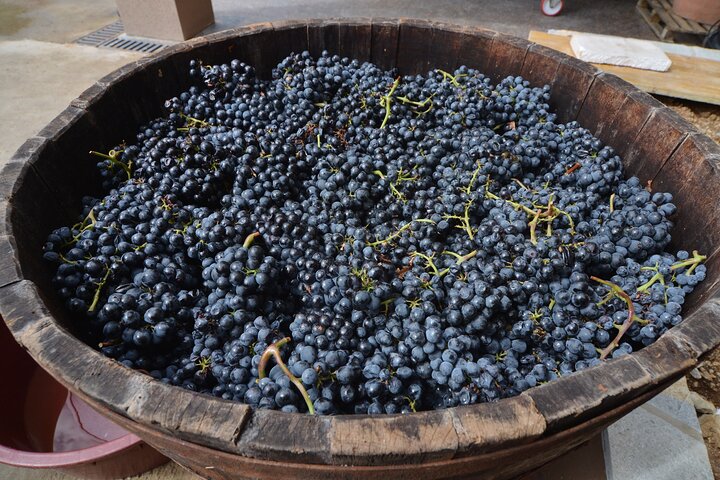 Private Wine Tasting Activity at Lipovac Winery