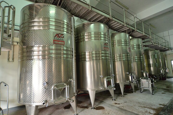 Private Wine Tasting Activity at Lipovac Winery
