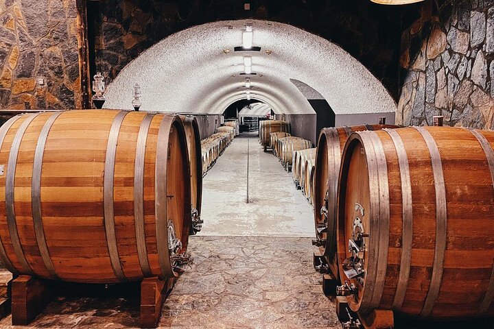 Private Wine Tasting Activity at Lipovac Winery