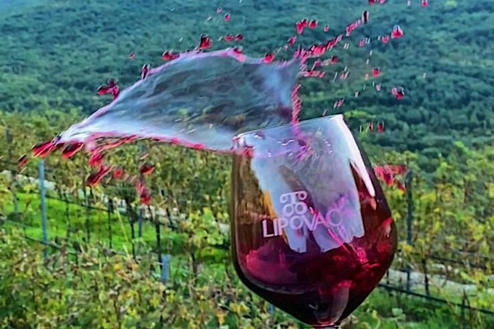 Private Wine Tasting Activity at Lipovac Winery