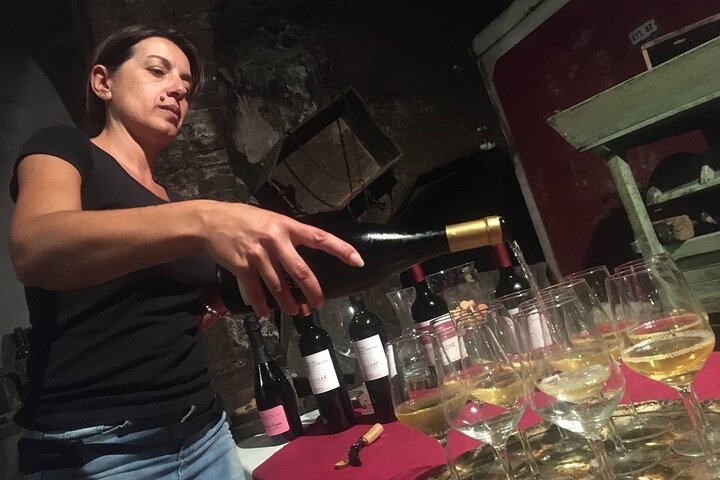 Olive Mill and Winery Experience at Castiglione in Teverina