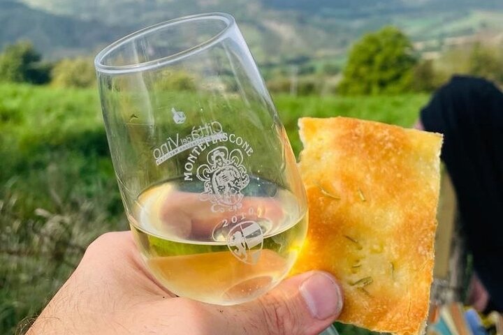 Olive Mill and Winery Experience at Castiglione in Teverina