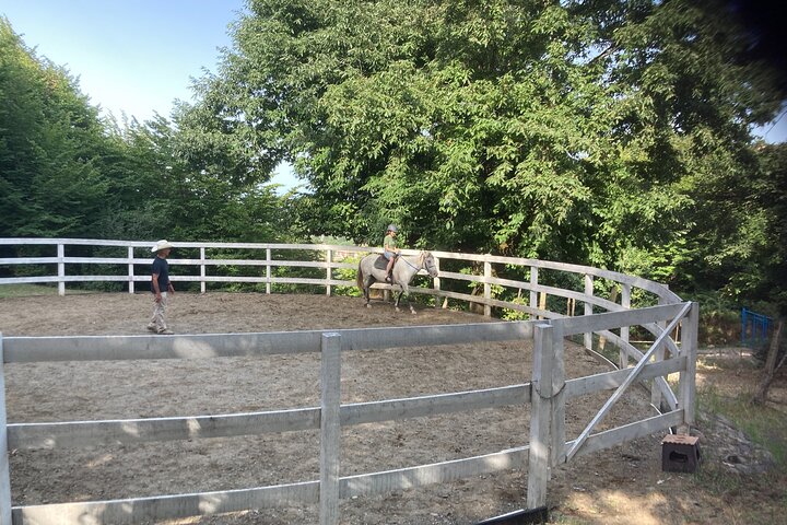Private Cowboy Roundpen Experience in Azerbaijan