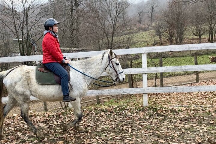 Private Cowboy Roundpen Experience in Azerbaijan