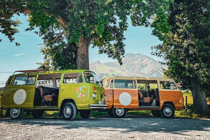 French Basque Country Private Day Tour in an VW Combi