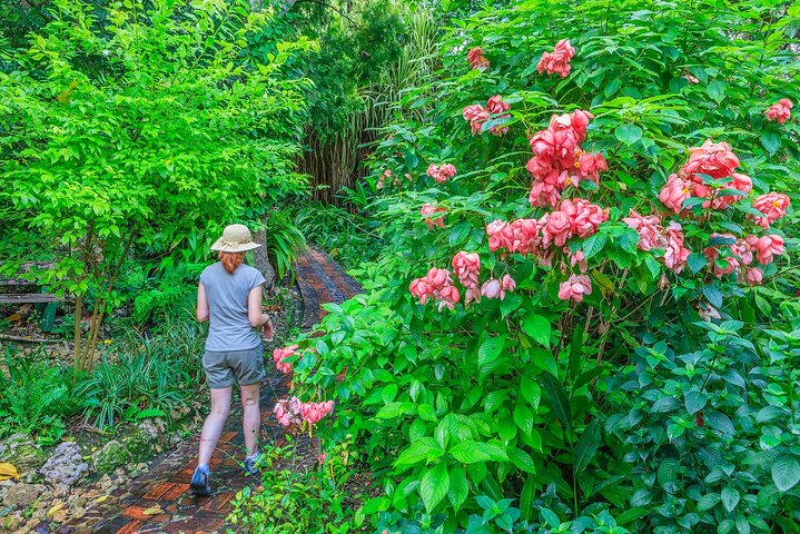 Full Day Garden Delight Private Tour in Barbados