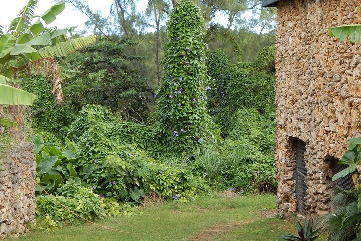 Full Day Garden Delight Private Tour in Barbados