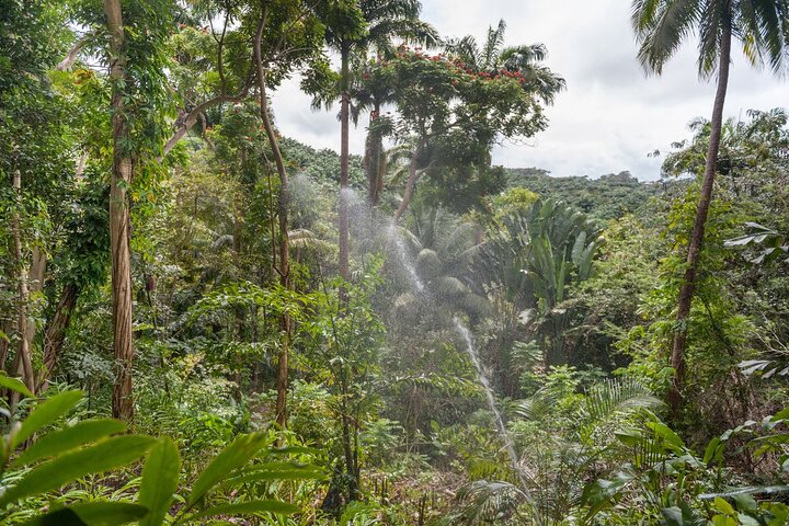Full Day Garden Delight Private Tour in Barbados
