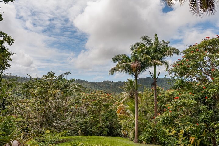 Full Day Garden Delight Private Tour in Barbados